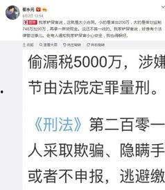 偷税逃税的明星,揭秘偷税逃税明星的黑色秘密